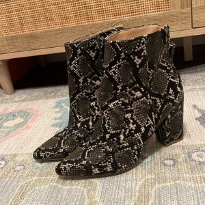 Steve Madden Snake Heeled Boot 7